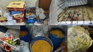 you tube (6) - Telugu Word