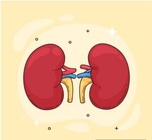 kidney care - Telugu Word