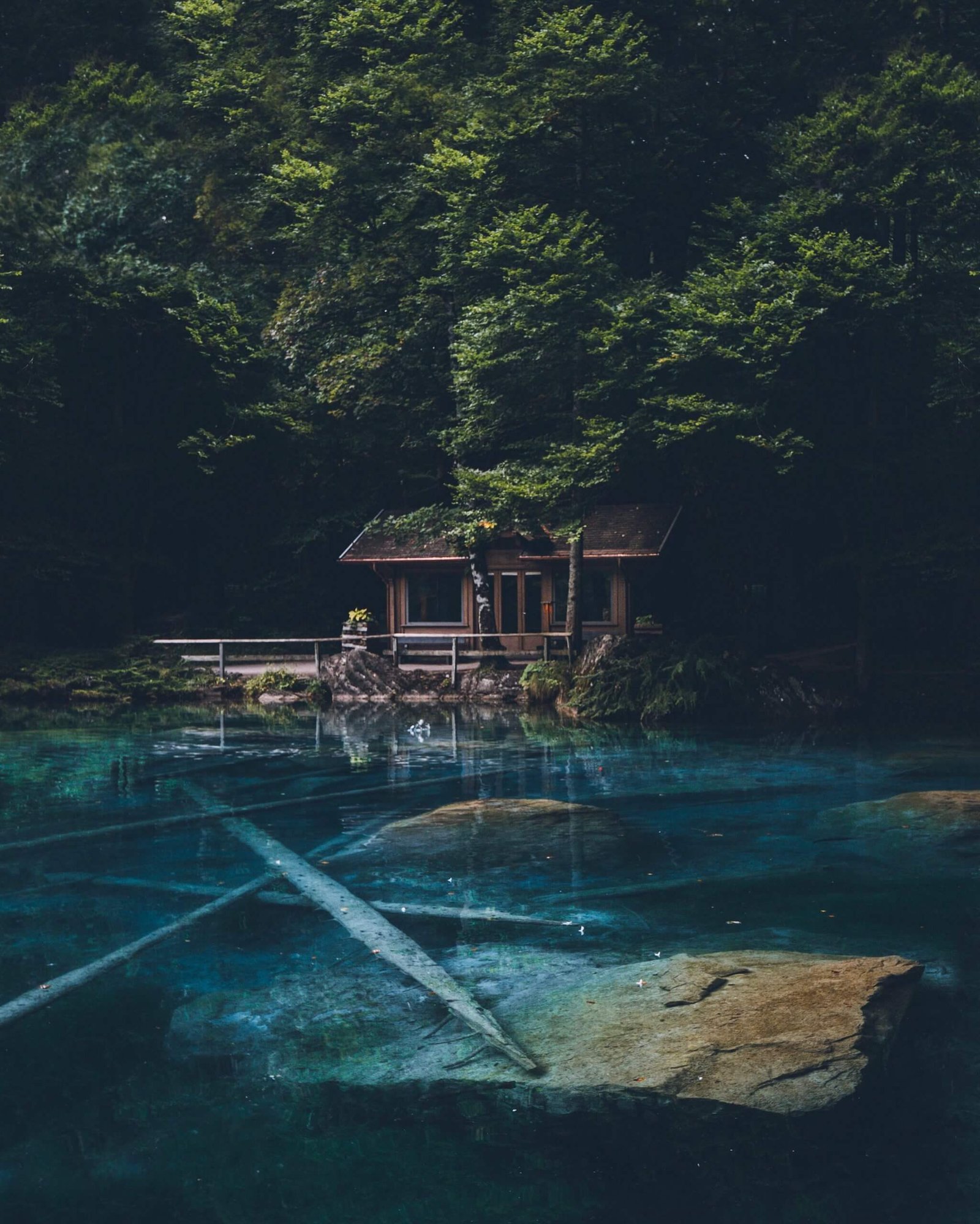 A wooden cabin nestled among dense trees beside a calm, dark-green lake with a wooden deck in front.
